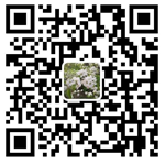 項(xiàng)目管理